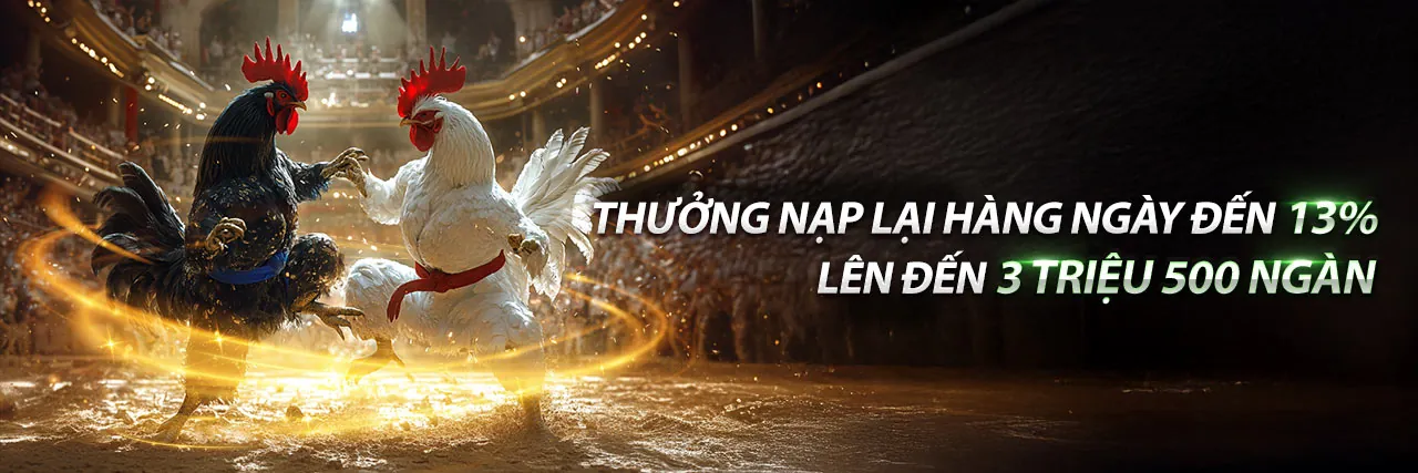 Hình ảnh chính về đá gà trực tiếp và cá cược thể thao tại full88 đá gà