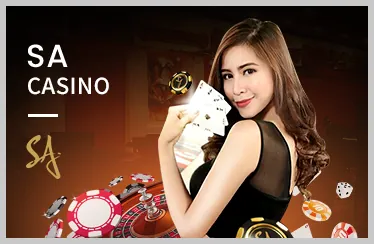 Hình ảnh cá cược thể thao với tỷ lệ cược cao tại full88 đá gà